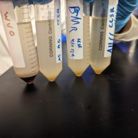 PXL_20240411_190016688.MP