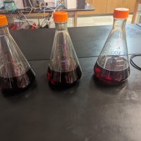 PXL_20240412_124134572